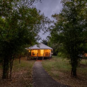 Soulacia Resort - Kanha National Park