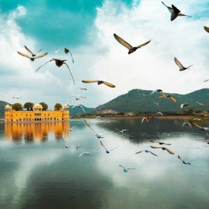 7-Day Royal Rajasthan Tour - Jaipur, Jodhpur & Udaipur